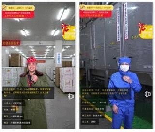 第十二届安徽农交会盛大开幕 洽洽食品专注质造引领行业健康发展